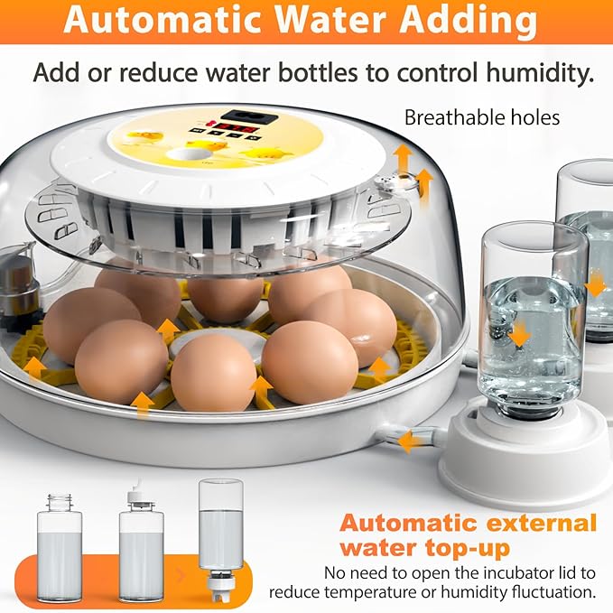 Egg Incubators for Hatching Eggs - Image 3