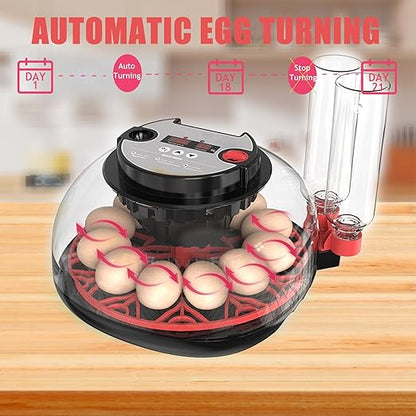 Incubators for Hatching Eggs, 12 Egg Incubator - Image 5