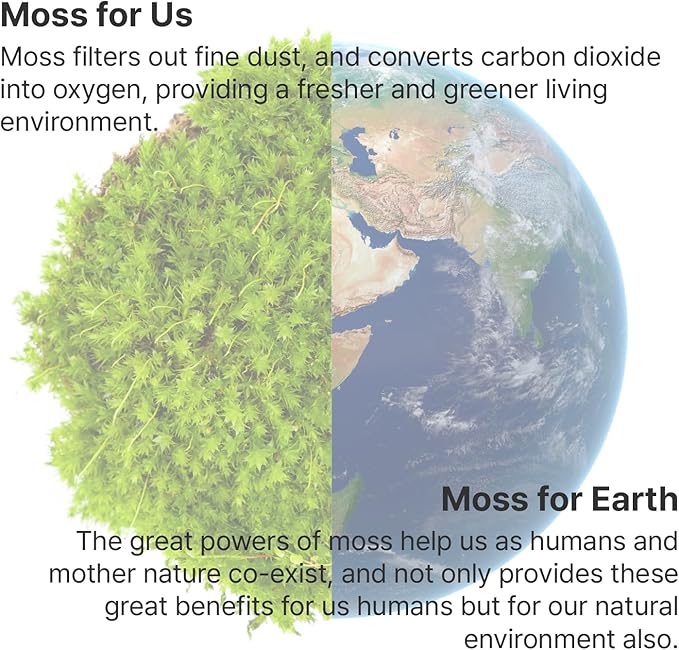 Moss Air – Living Moss Terrarium Humidifier | Soothing Mist Fountain & Ambient - Image 4