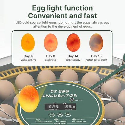 Automatic Egg Incubator for 52 Eggs - Image 3