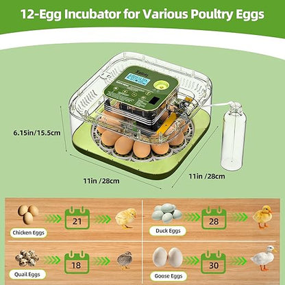 12 Egg Incubator for Hatching Eggs - Image 8