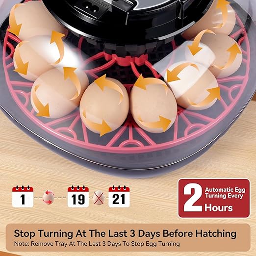 12 Egg Incubators for Hatching Eggs, Chicken Egg Incubator - Image 2