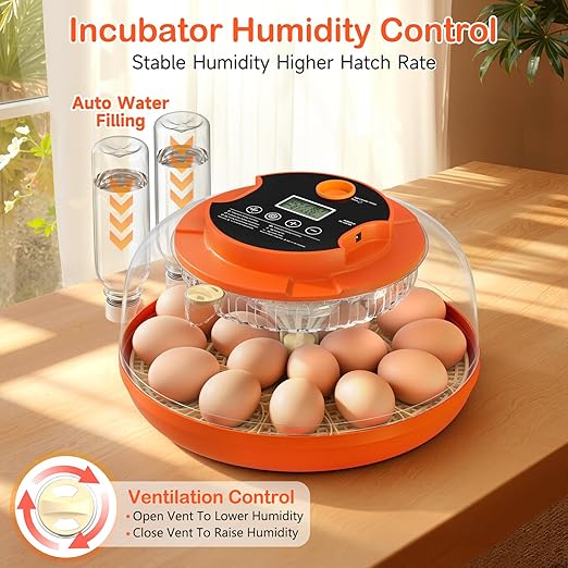 18 Egg Incubator for Chicken Eggs, Automatic Egg Turning and Humidity Control - Image 6
