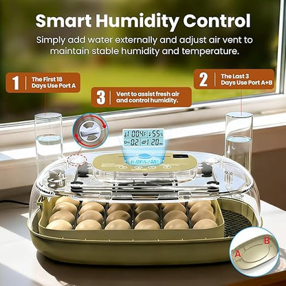 Incubators for Hatching Eggs, 24 Eggs Capacity - Image 3