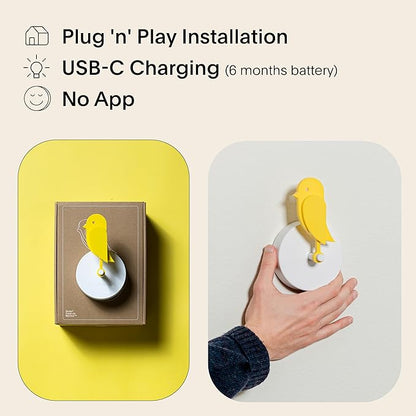 Birdie 2.0 - Design Indoor CO2 Monitor - Air Quality Meter - Image 5