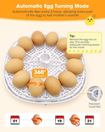 Incubators for Hatching Eggs, Chicken Waterer Cups, Automatic Egg Turner Holds - Image 9