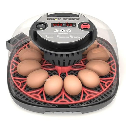 12-24 Egg Incubator with Humidity Display, Egg Candler, Automatic Egg Turner by Meuiosd