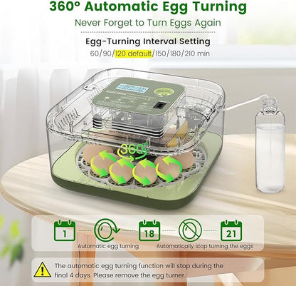 12 Egg Incubator with Automatic Turning, Auto Water Refill & Temp/Humidity - Image 2