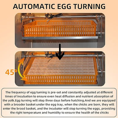 XKV 440 Egg Incubator with Automatic Egg Turning, Temperature Control and - Image 9