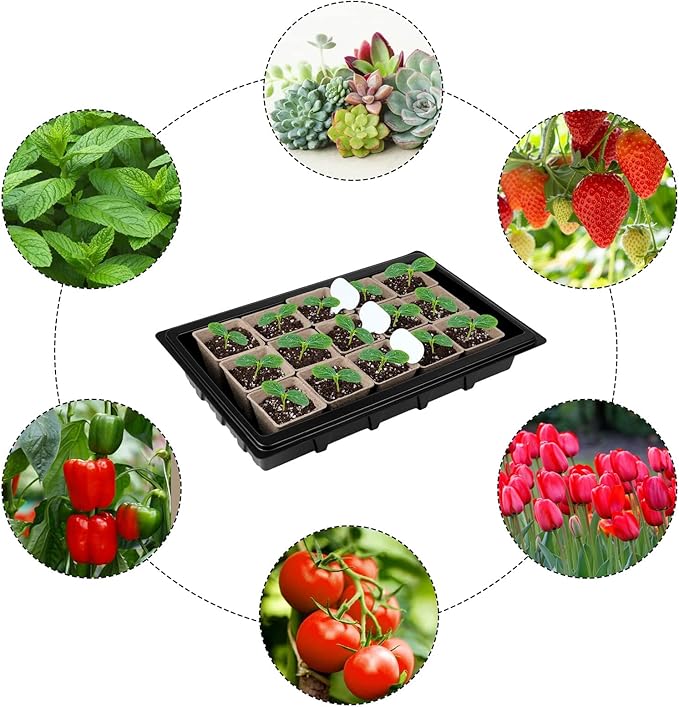Aodaer 193 Pack Seed Starter Kit Including Seed Starter Tray Peat Pots - Image 6