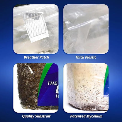 ExHale CO2 Original Bag - Image 4