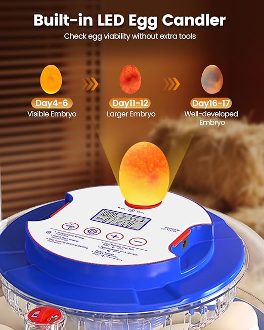 Incubators for Hatching Eggs, 18 Eggs Incubators - Image 5