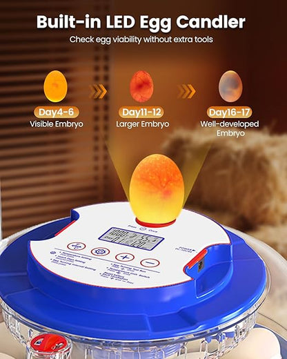 Incubators for Hatching Eggs, 18 Eggs Incubators - Image 5