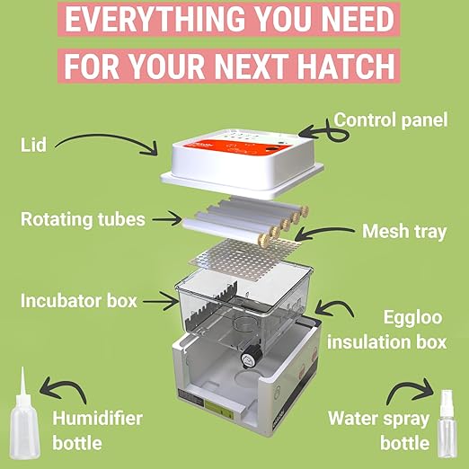 OBI-12 Incubator for Hatching Eggs – 36 Eggs, Stable Temperature & Humidity - Image 5