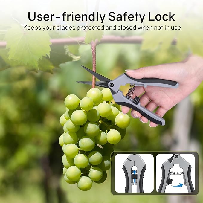 6.5" Ultra Sharp Pruning Shears, Ergonomic Grip, Rust Resistant, Safety Lock - Image 4