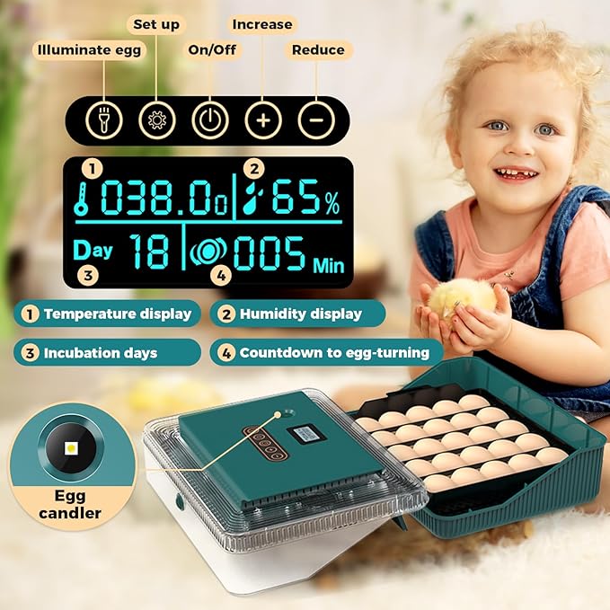 25 Eggs Incubator, Incubators for Hatching Eggs, - Image 3