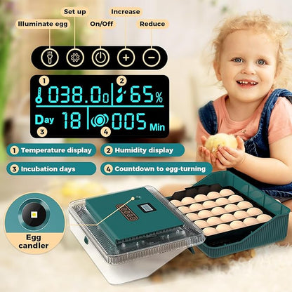 25 Eggs Incubator, Incubators for Hatching Eggs, - Image 3