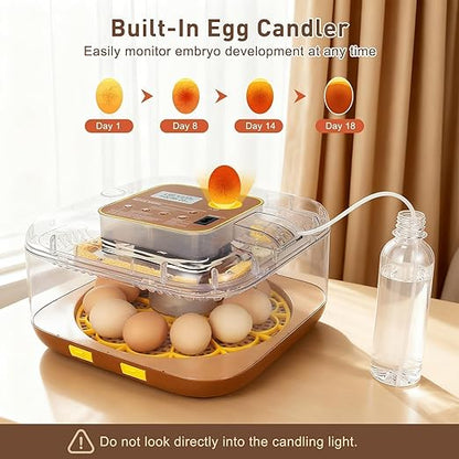 4th Gen - 12 Egg Fully Automatic Incubator, 2026 Upgraded Design, Intelligent - Image 3