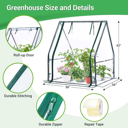 Mini Greenhouse for Indoor Outdoor: Ohuhu Portable Green House - Image 3