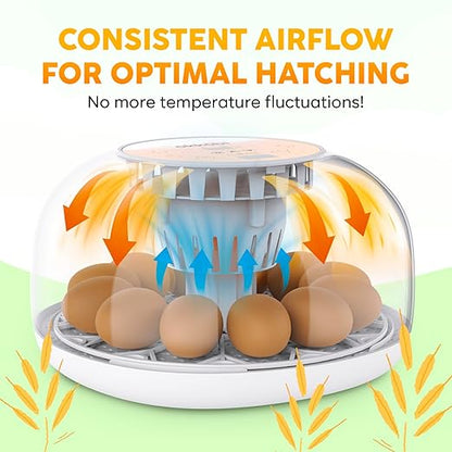 Okkobi M12 Egg Incubator with Automatic Turner and Humidity Control - Image 7