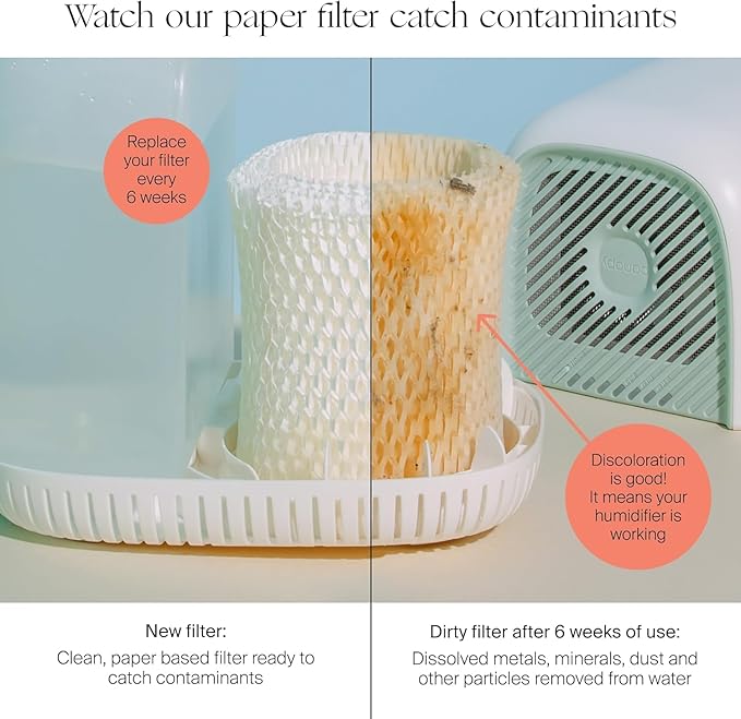Canopy Original Bedside Humidifier Filters, Replacement Filters - Image 3