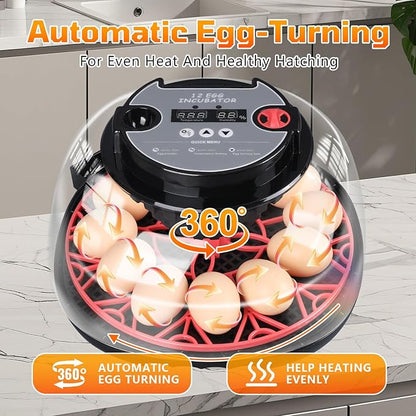 12-Egg Incubator, Automatic Egg Turning Function, Humidity Control, External - Image 4