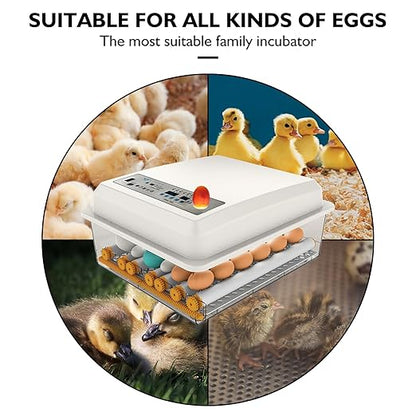 Egg Incubator, Egg Incubator - Image 2