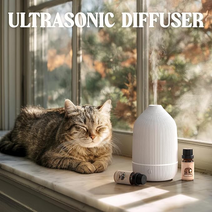 Essential Oil Diffuser, 100ml Aromatherapy Diffuser, Mini Ultrasonic Diffuser - Image 7