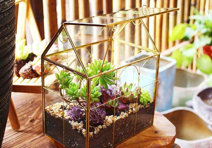 Glass Geometric Plant Terrarium, Succulent & Air Planter - Image 5