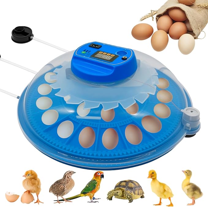 26-Egg Incubator with Automatic Egg Turning and Humidity Control | with 360° by Ywingda
