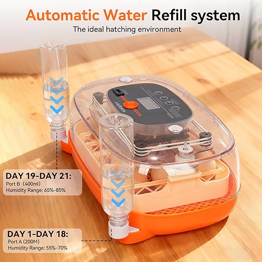 Incubators for Hatching Eggs, 24 Egg Incubator, Automatic Egg Turner - Image 4