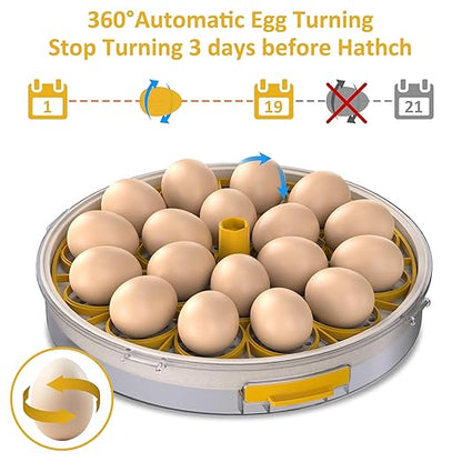18 Egg Incubator with Automatic Egg Turning and Humidity Control, Intelligent - Image 3
