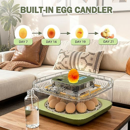 XOTTI Incubator for Hatching Egg, 12 Egg Incubators - Image 5