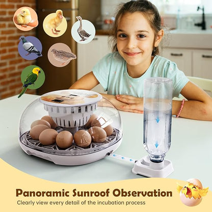 Egg Incubator for Hatching Chicks, Automatic Egg Turner Holds 12 Eggs, Smart - Image 7