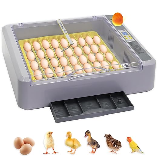 Automatic Egg Incubator, Automatic Egg Turner by Abustle+pig
