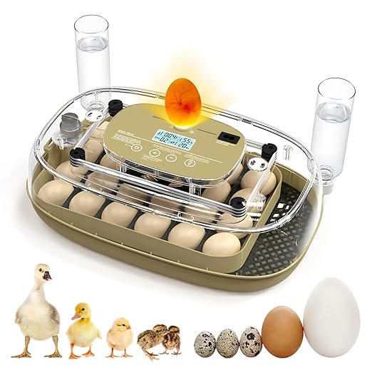 24 Egg Incubator for Hatching Eggs by Unknown