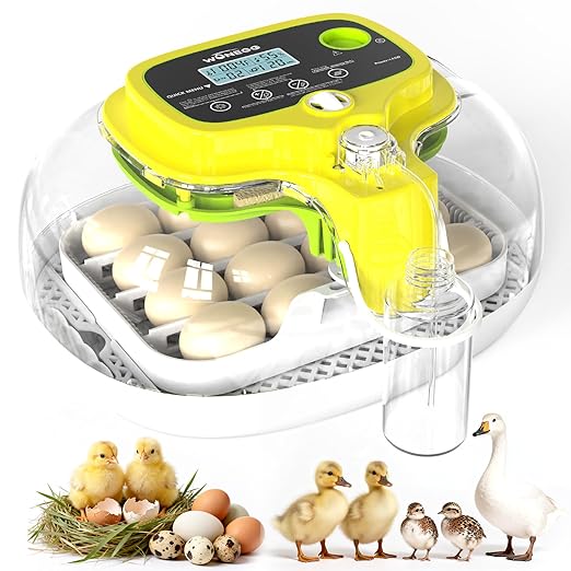 Incubators for Hatching Eggs, 2026 Upgraded 16 Eggs Incubator by DIGOAKO