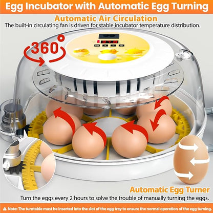 Egg Incubators for Hatching Eggs - Image 2