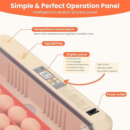 36-60 Egg Incubator with Automatic Egg Turning and Humidity Control, Adjustable - Image 2