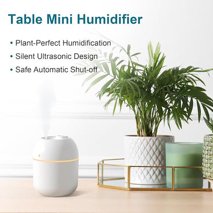Portable Small Humidifier, USB Personal Desktop Humidifier - Image 2