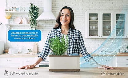 Eva-Dry Dewplanter Compact 2-in-1 Dehumidifier & Self-Watering Indoor Planter - Image 5