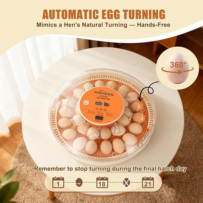 Core Max 30 Egg Incubator for Large-Batch Hatchers, Hands-On Control, Auto Egg - Image 4