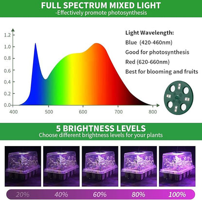 Seed Starter Tray with Plant Light, 2 Pack Grow Lights - Image 5