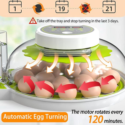 18/60 Egg Incubator with Humidity Display, Incubators - Image 4