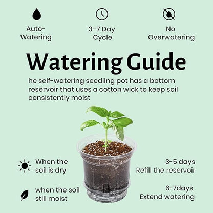 12 Pack 6.5 Inch Clear Self Watering Plant Pots - Image 6