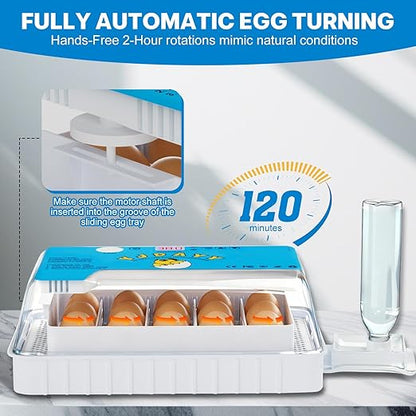 Incubators for Hatching Eggs 15-35 Eggs Incubator - Image 5