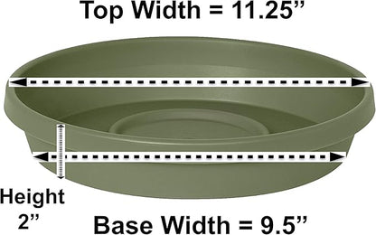 Bloem Terra Plant Saucer Tray for Planters 9-12" Living Green - Image 2