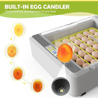 Egg Incubator for Hatching Chicks, 36 Eggs Automatic Turner - Image 5