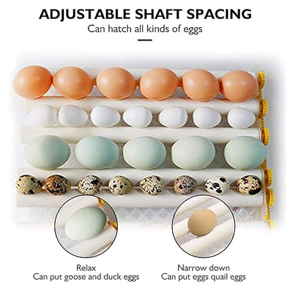 Egg Incubator, Egg Incubator - Image 3