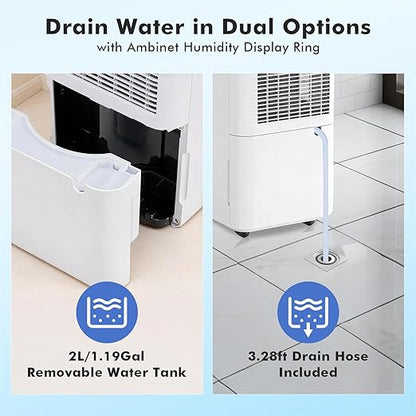 NEWBULIG 30Pints Dehumidifier - Image 6